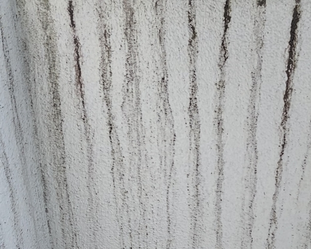 雨だれ汚れを防ぐ外壁塗装とは？選び方からメンテナンスまで徹底解説 (2)