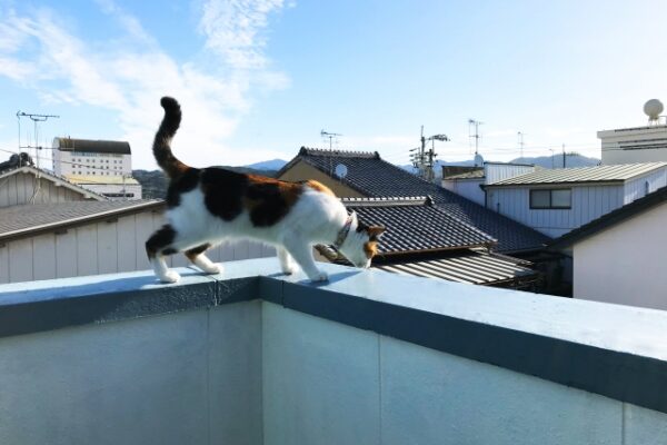 ベランダやバルコニーにある笠木とは？定期メンテナンスで雨漏りを予防しましょう