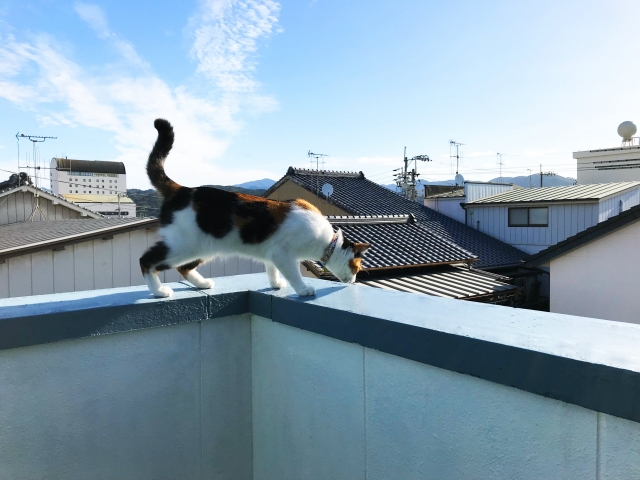 ベランダやバルコニーにある笠木とは?定期メンテナンスで雨漏りを予防しましょう (2)