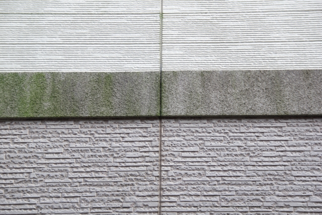 外壁塗装で苔(コケ)をスッキリ!予防方法や目立たない色とは? (2)