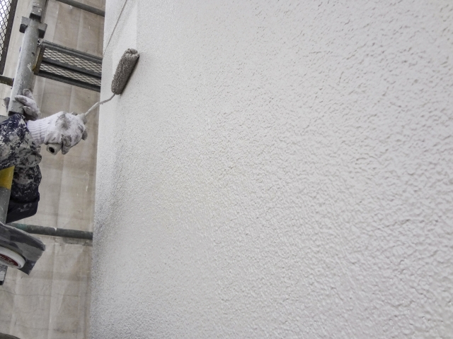 外壁塗装で苔を予防する